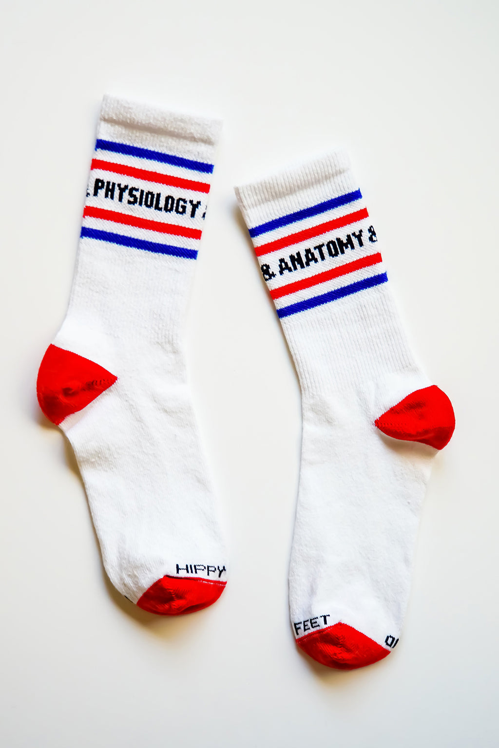 Anatomy and Physiology crew socks