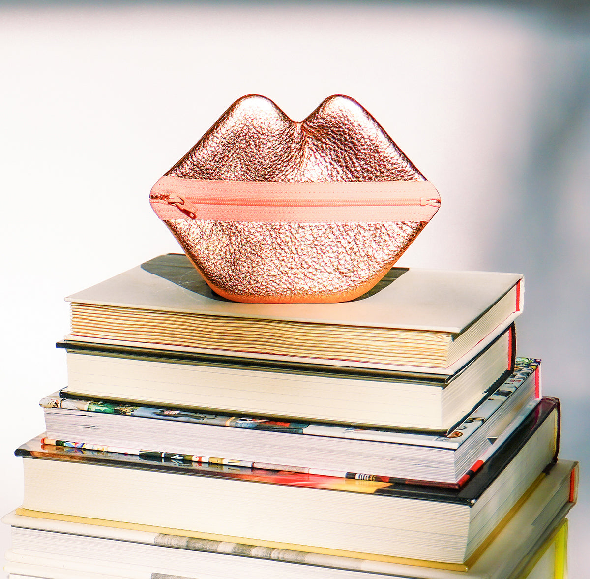 Lip Zip pouch sitting on top of a stack of books